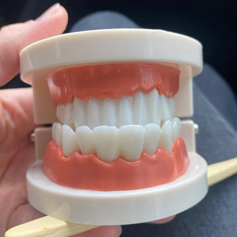 Teeth Brushing Teaching Aid