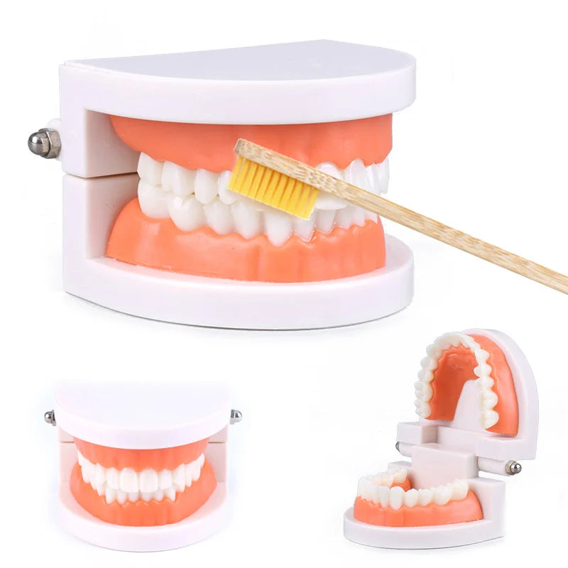 Teeth Brushing Teaching Aid