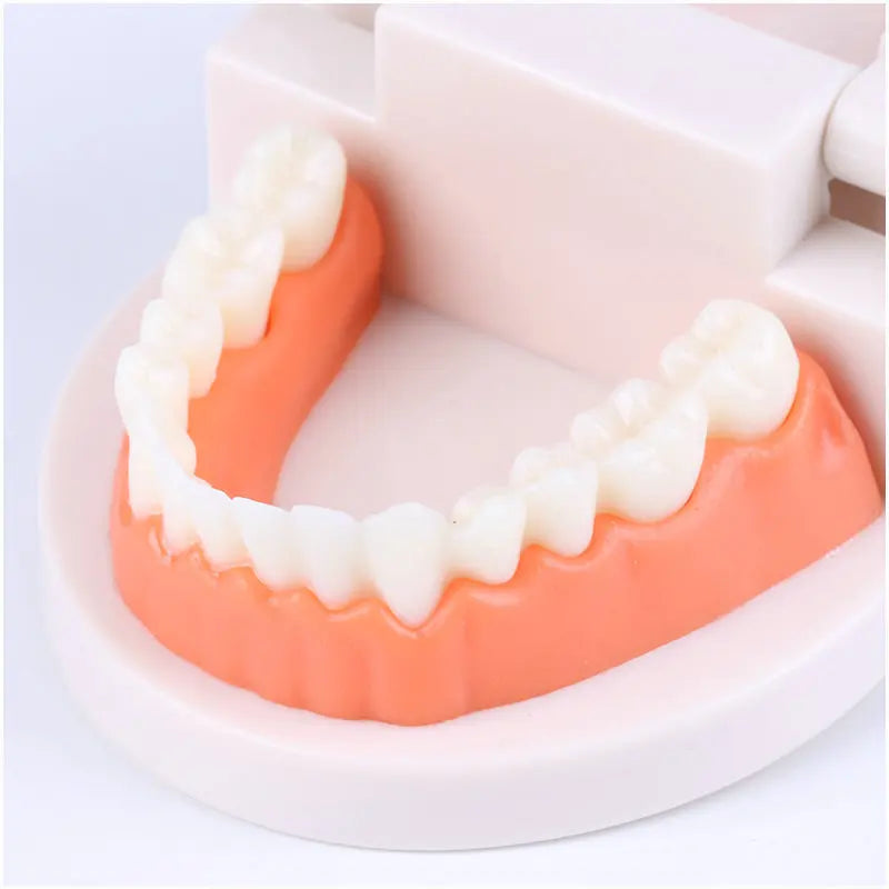 Teeth Brushing Teaching Aid