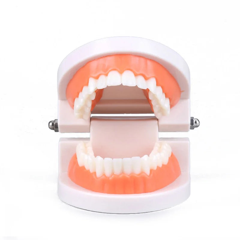 Teeth Brushing Teaching Aid