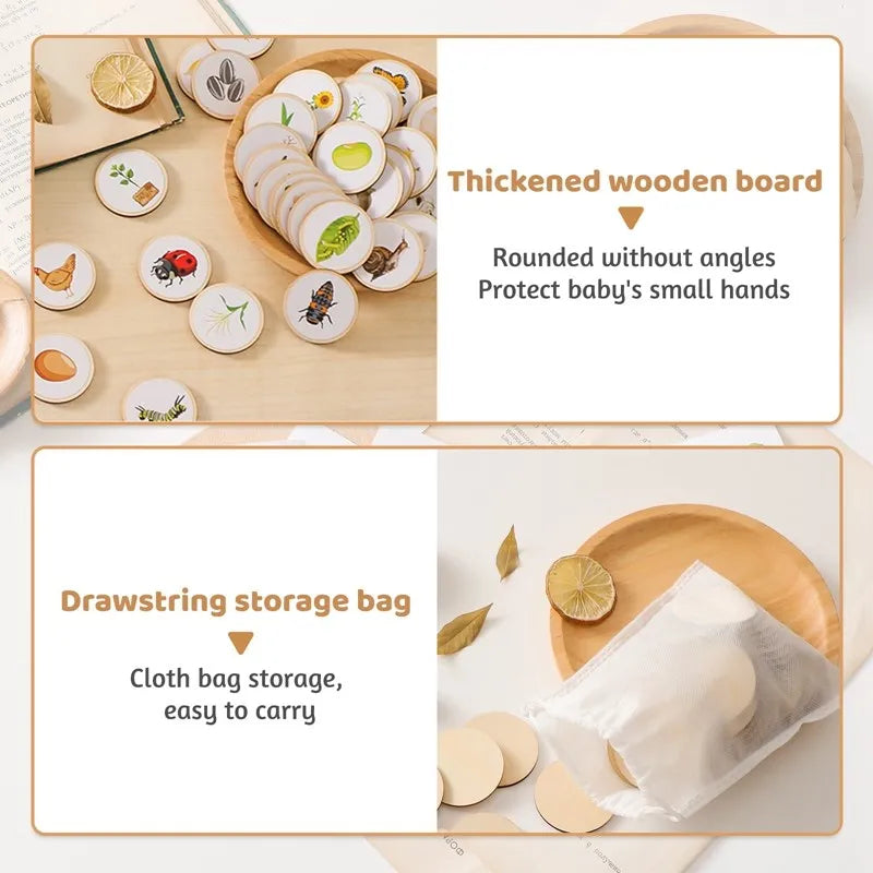 Wooden Montessori Animal Life Cycle