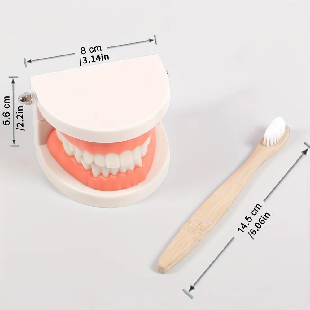 Teeth Brushing Teaching Aid