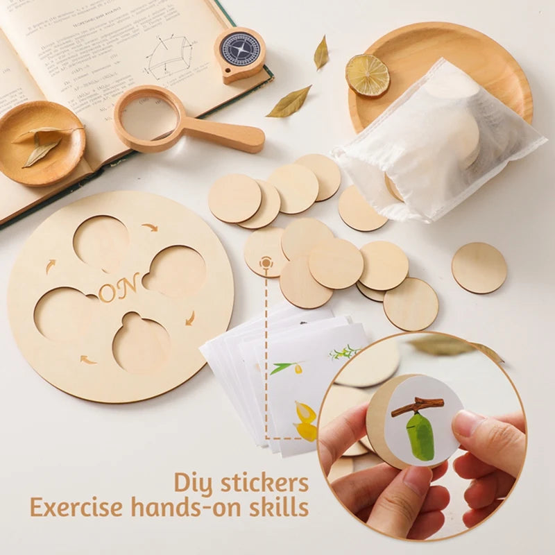Wooden Montessori Animal Life Cycle