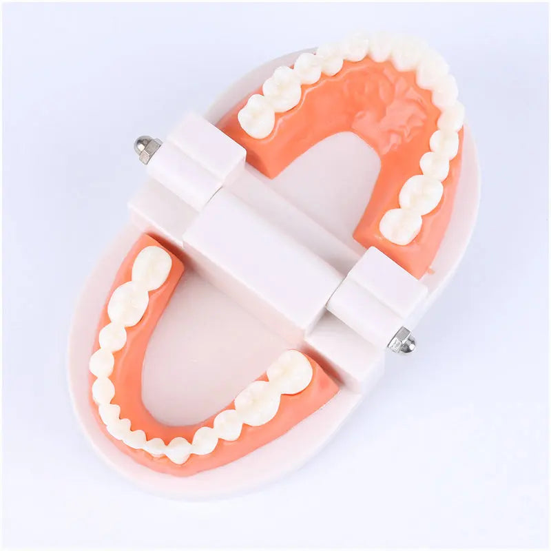 Teeth Brushing Teaching Aid
