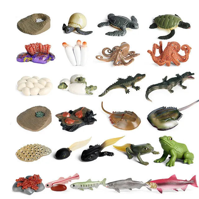 Montessori Animals and  insects Life Cycle Wooden Board Set
