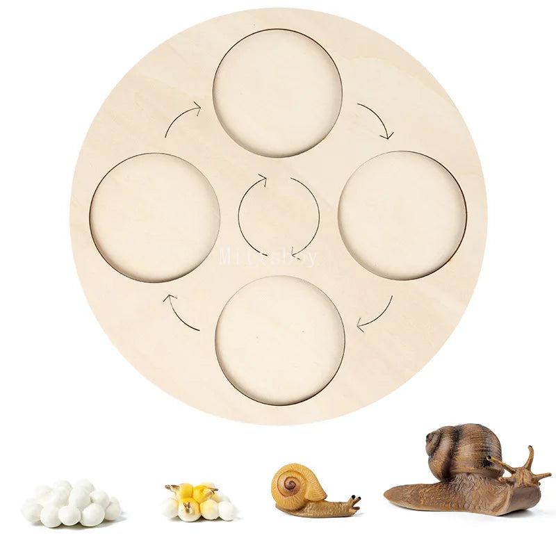 Montessori Animals and  insects Life Cycle Wooden Board Set
