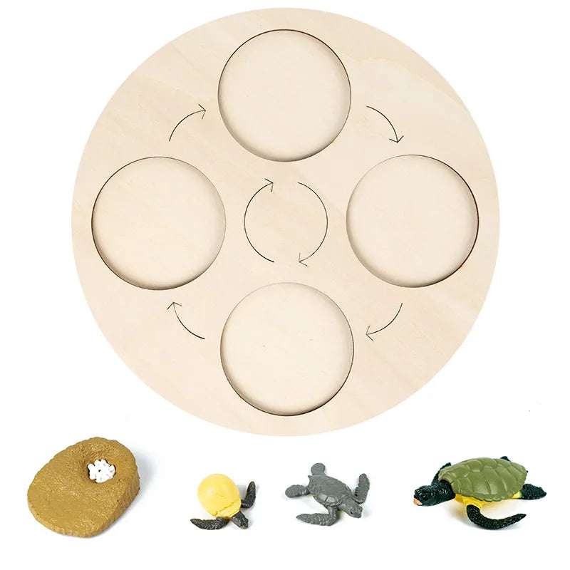 Montessori Animals and  insects Life Cycle Wooden Board Set