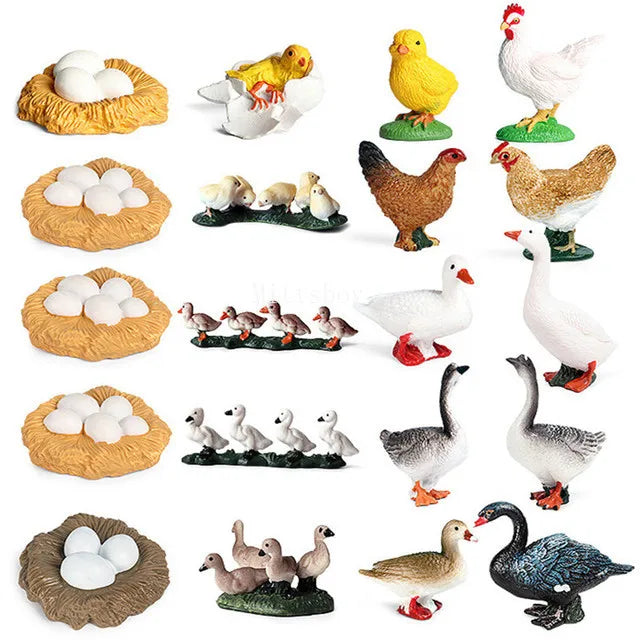 Montessori Animals and  insects Life Cycle Wooden Board Set