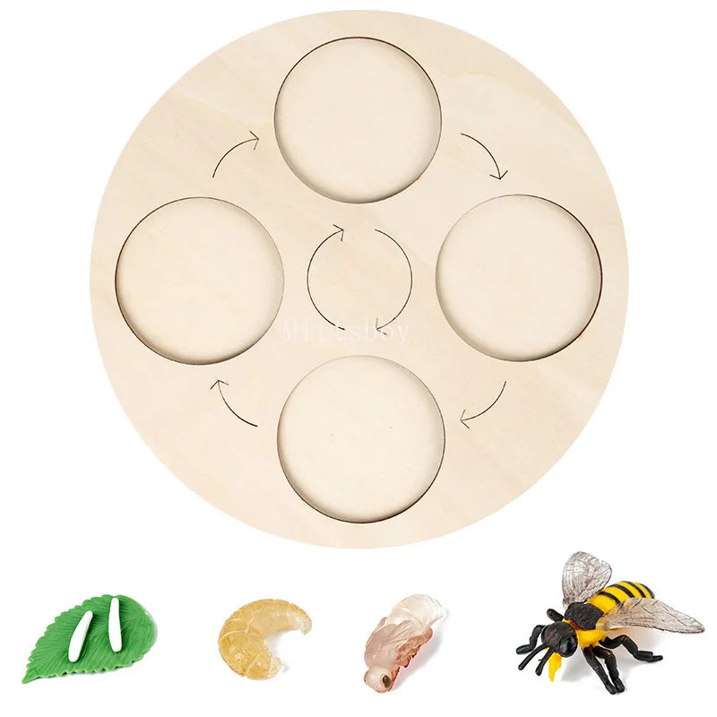 Montessori Animals and  insects Life Cycle Wooden Board Set