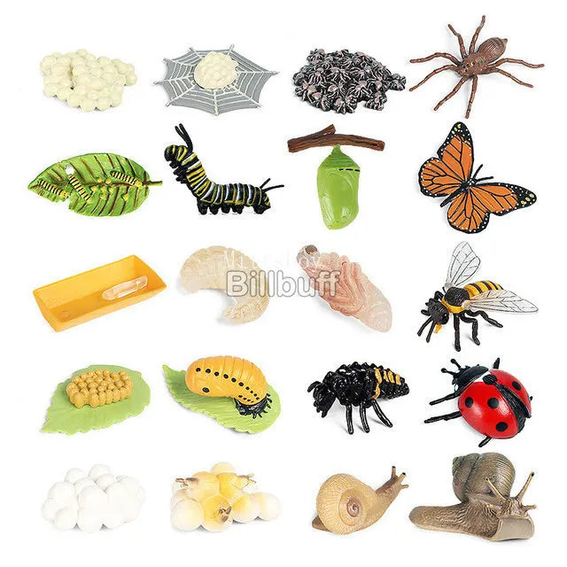 Montessori Animals and  insects Life Cycle Wooden Board Set