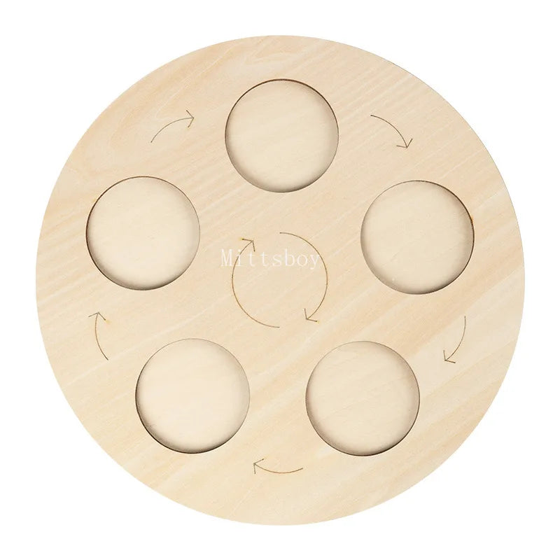 Montessori Animals and  insects Life Cycle Wooden Board Set