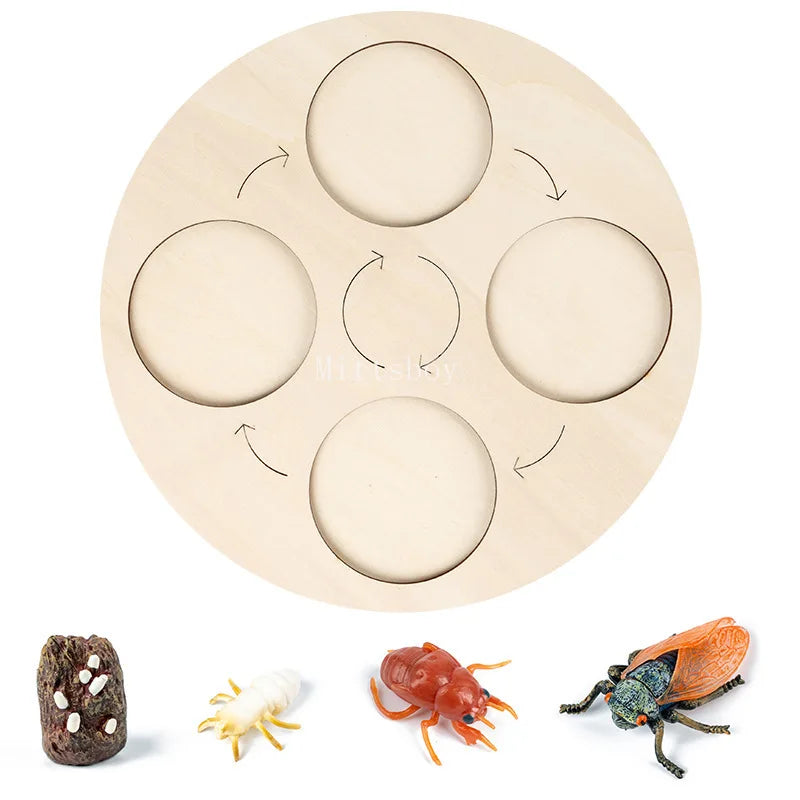 Montessori Animals and  insects Life Cycle Wooden Board Set