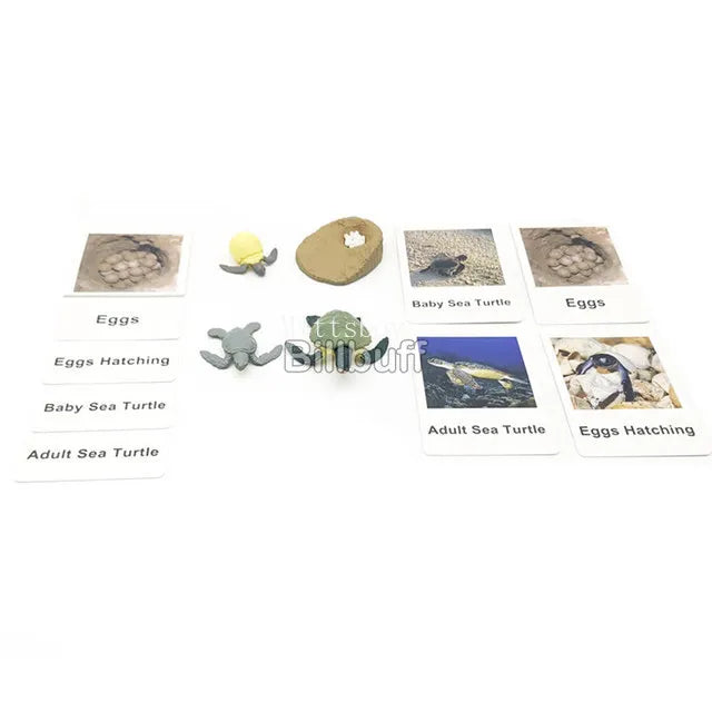 Montessori Animals and  insects Life Cycle Wooden Board Set