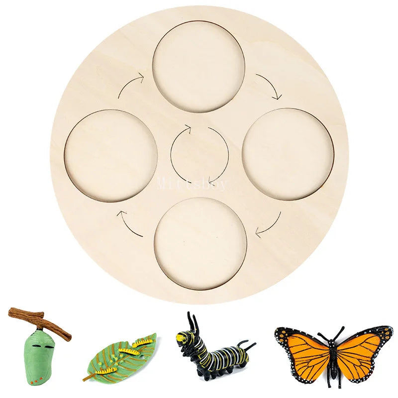 Montessori Animals and  insects Life Cycle Wooden Board Set