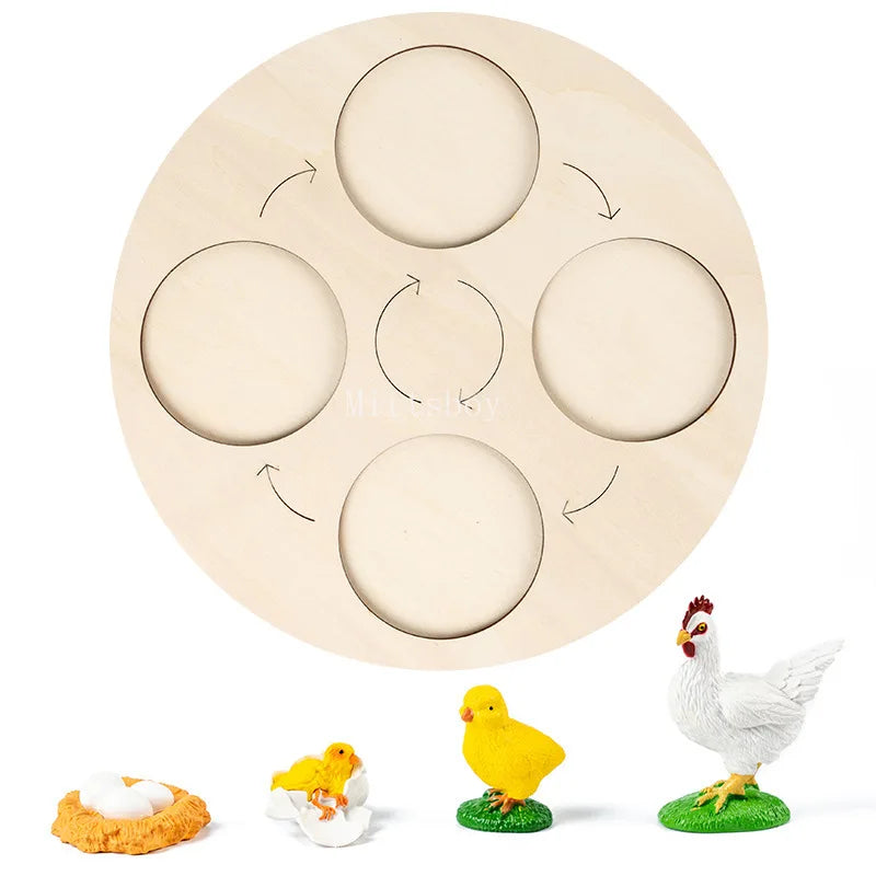 Montessori Animals and  insects Life Cycle Wooden Board Set