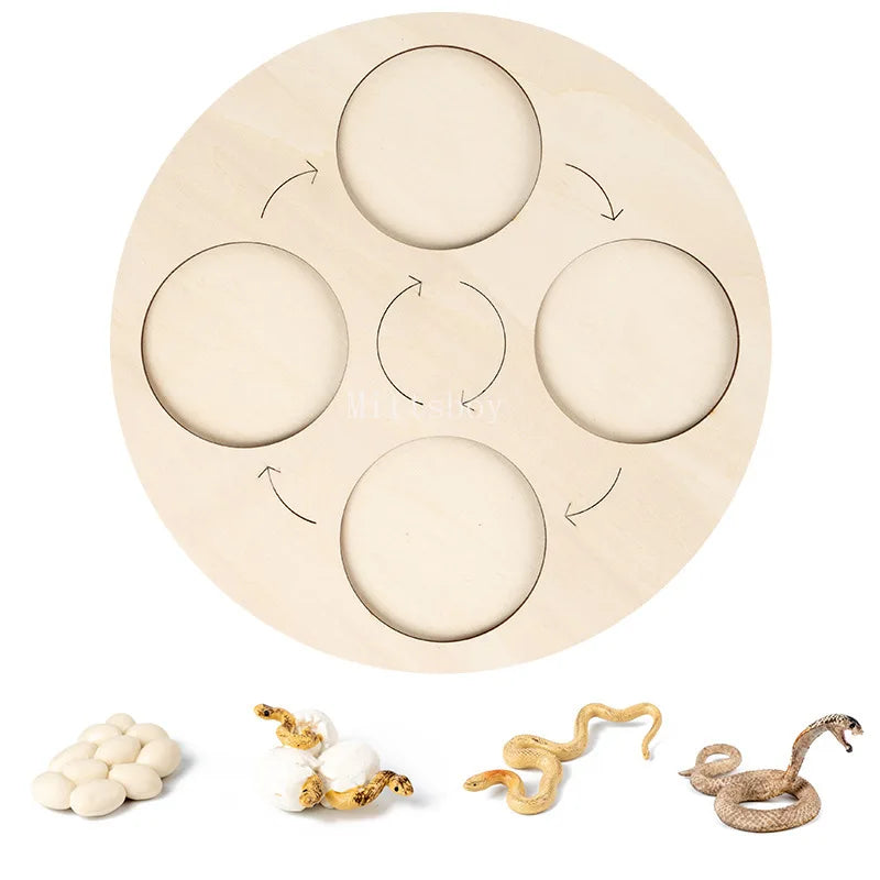 Montessori Animals and  insects Life Cycle Wooden Board Set