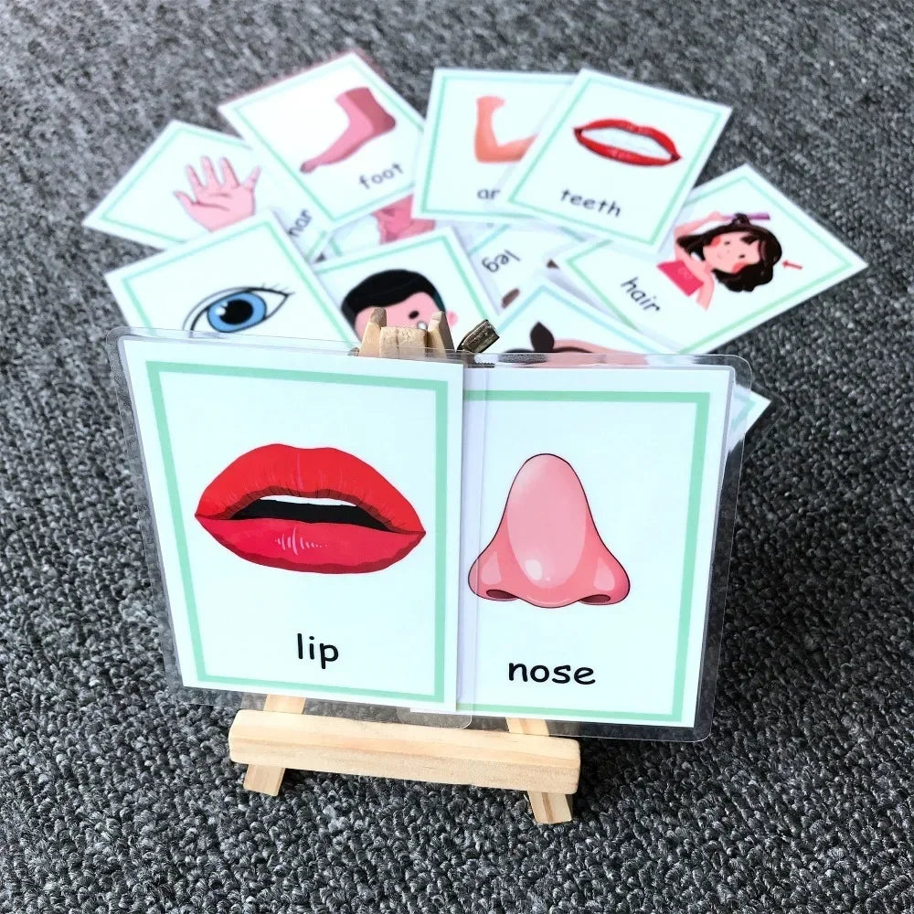 Montessori Emotion, Weather Learning Flash Cards