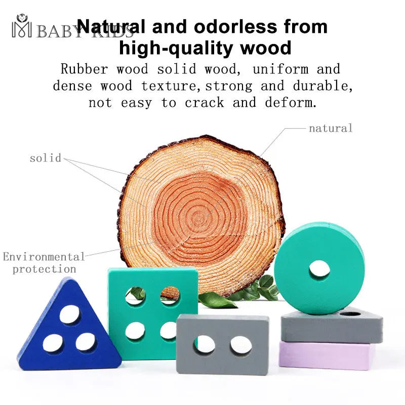 Montessori Toy Wooden Color Shape Match Building Blocks
