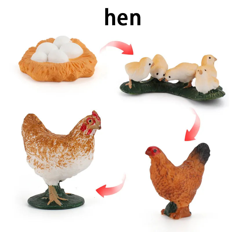 New Animal Life Cycle Board Children Toys Montessori Teaching Aids Plant Animal Growth Cycle Model Set Preschool Cognitive Toys