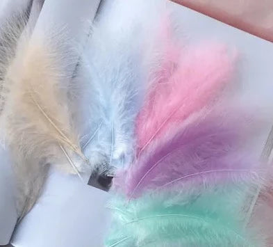 50pcs Natural Feathers 4-6 Inches 10-15cm