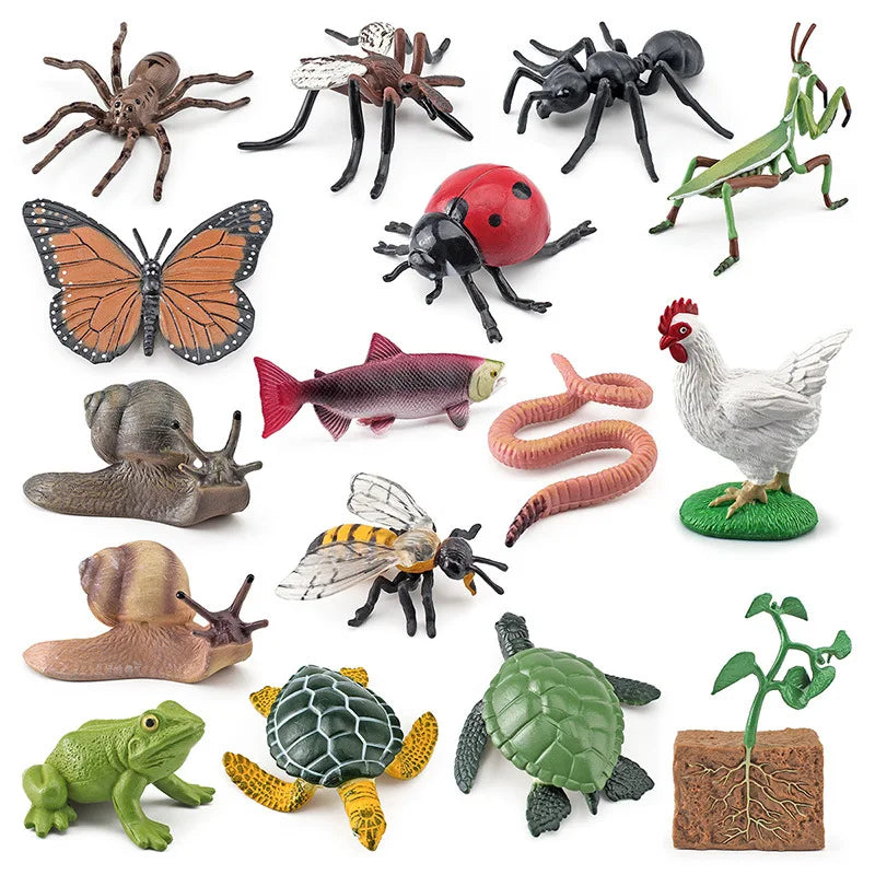 New Animal Life Cycle Board Children Toys Montessori Teaching Aids Plant Animal Growth Cycle Model Set Preschool Cognitive Toys