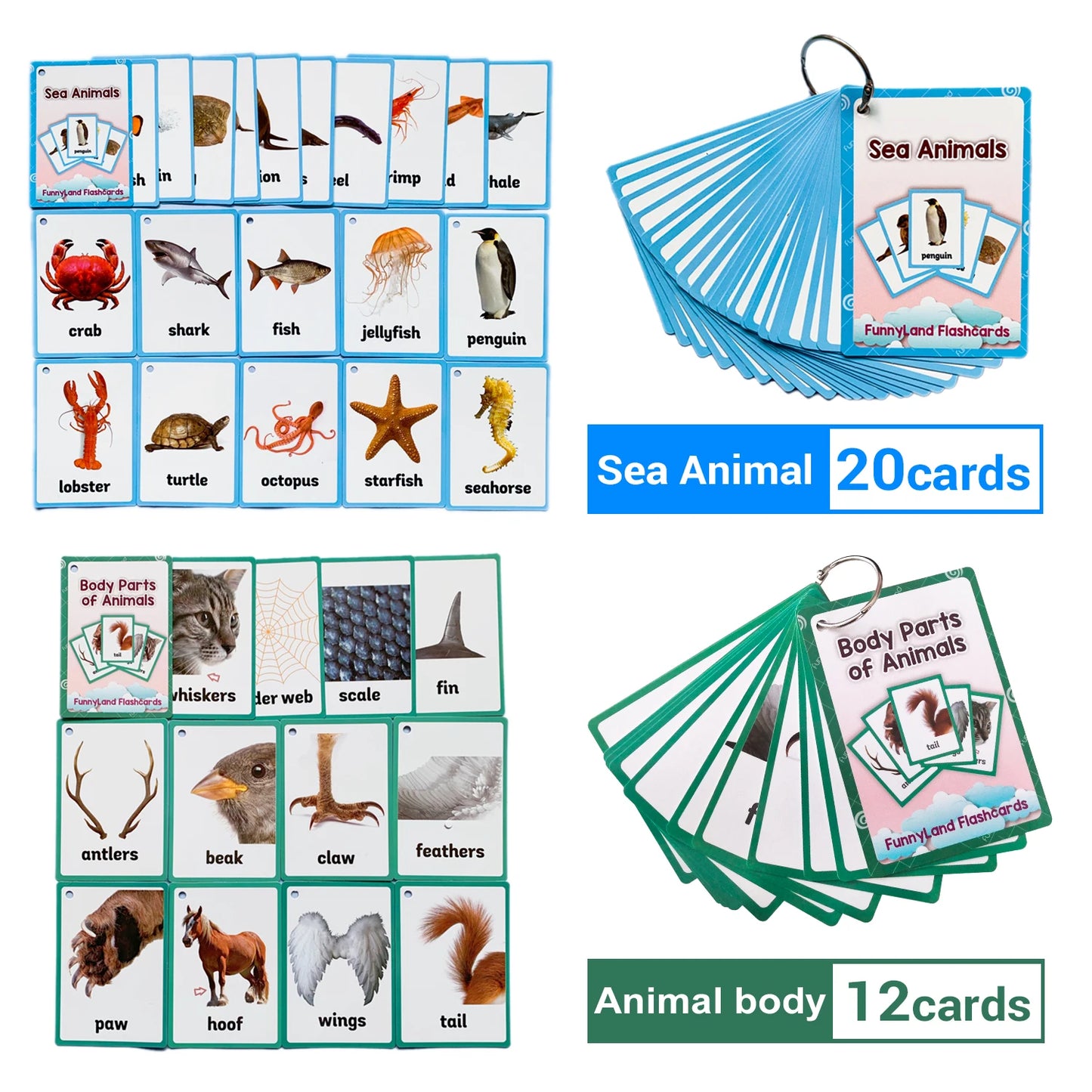 2 Sets of Montessori Baby Learning  Word Flash pocket Cards