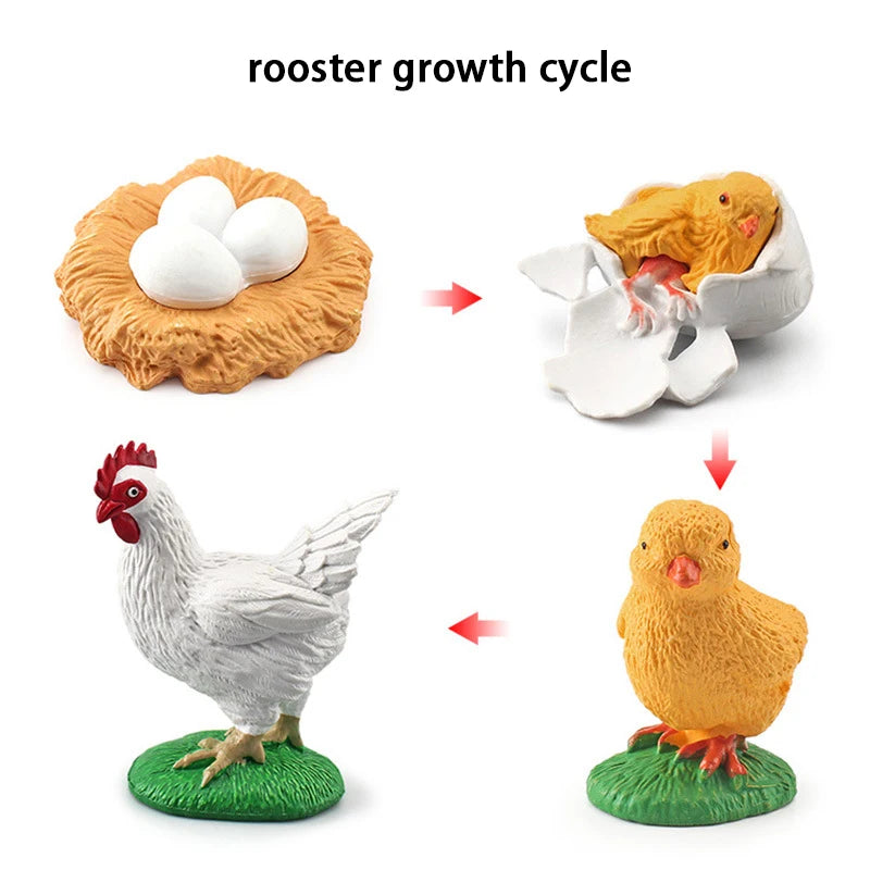 New Animal Life Cycle Board Children Toys Montessori Teaching Aids Plant Animal Growth Cycle Model Set Preschool Cognitive Toys