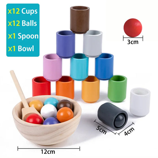 Montessori WoodenRainbow Ball and Cups Colour