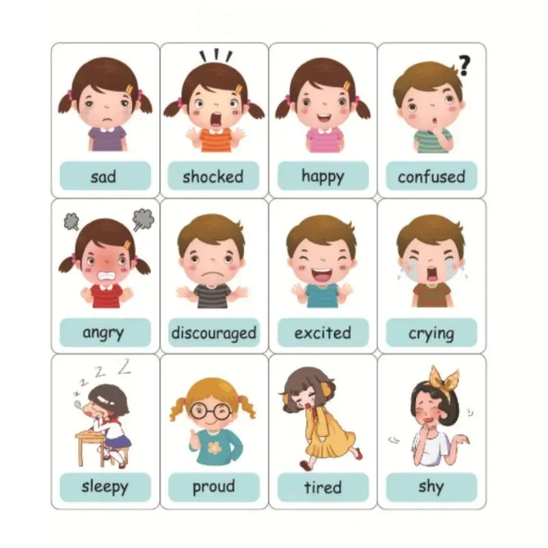 Montessori Emotion, Weather Learning Flash Cards